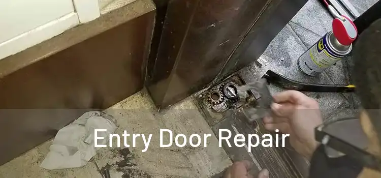Entry Door Repair